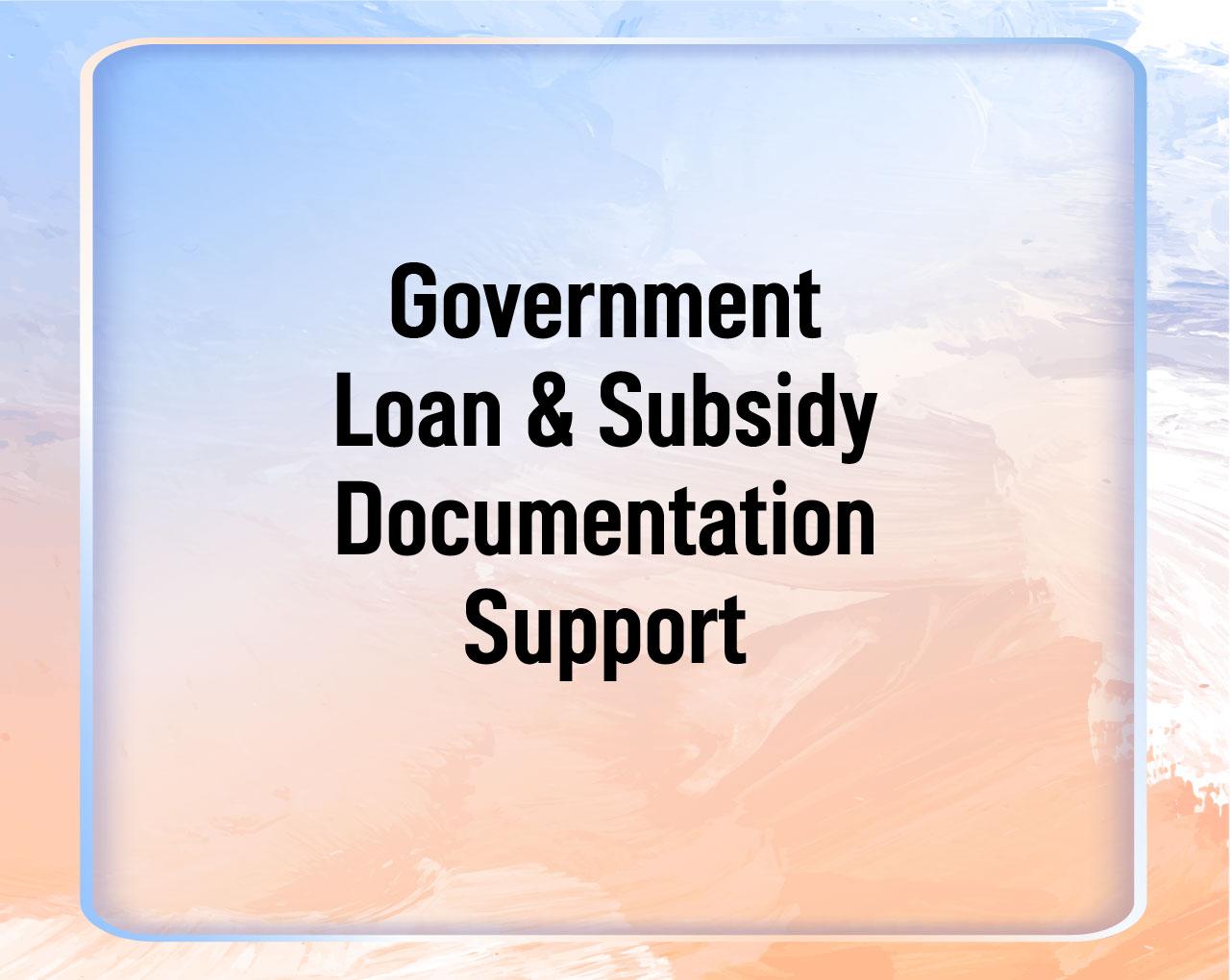 Government Loan & Subsidy Documentation Support