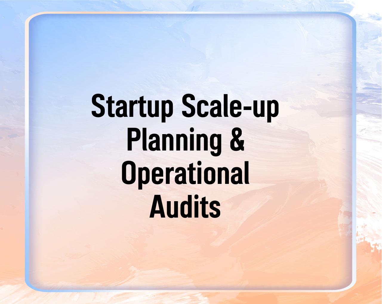 Startup Scale-up Planning & Operational Audits